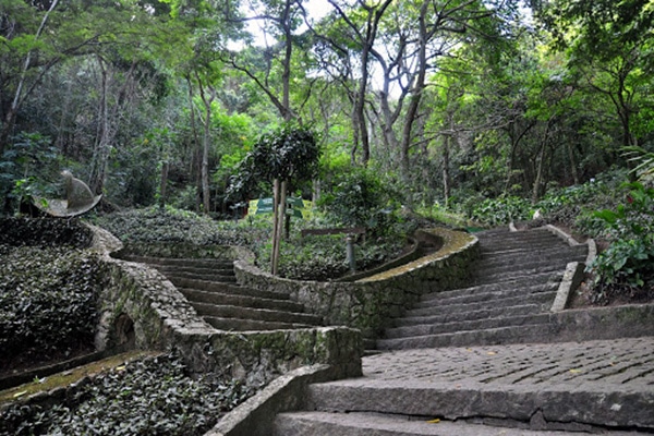 Parque municipal da catacumba no Rio de Janeiro