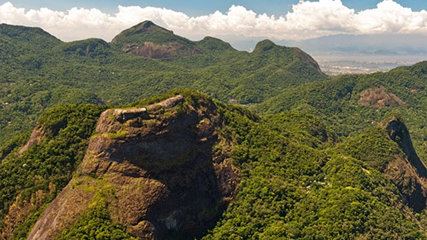 A Maior floresta Urbana fica no rio, A Floresta da Tijuca