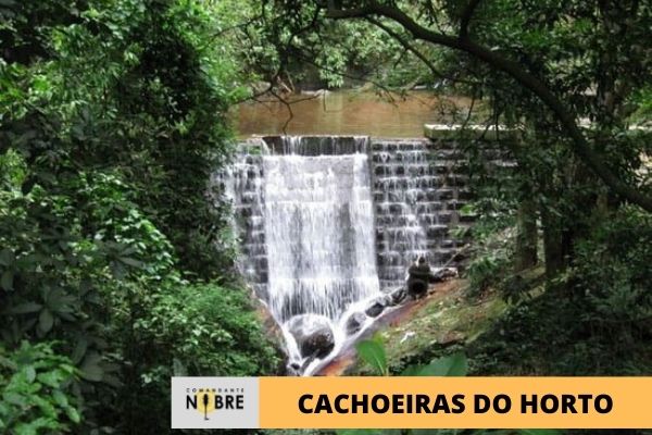 Foto de uma das cachoeiras do Horto.