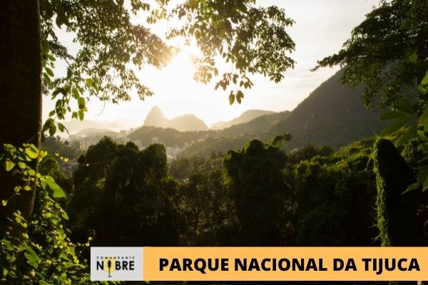 Foto com o Parque Nacional da Tijuca de fundo.